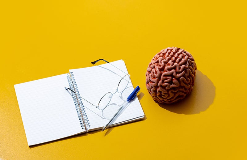 brain-1