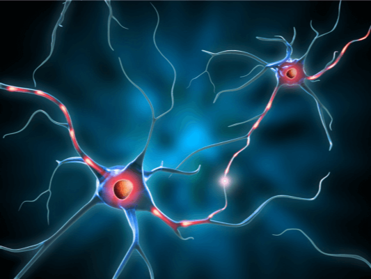 neuroplasticity-neurons-communication