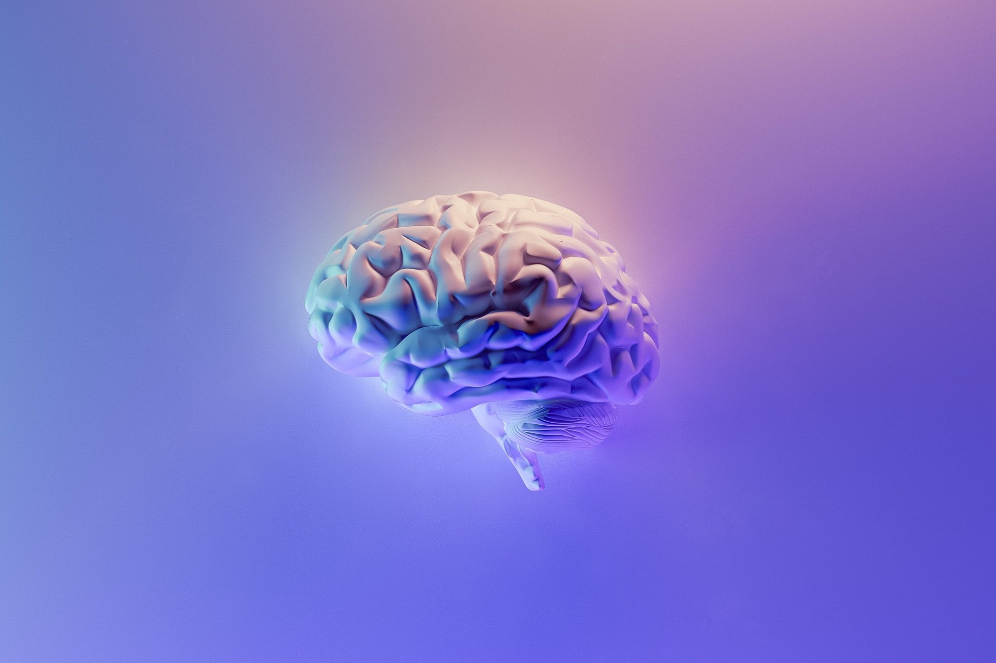 webinar series brain blog pic